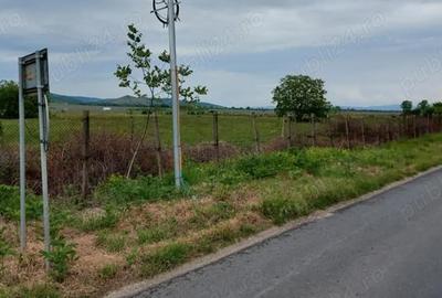 Teren de 11780 mp, în Merei - 1