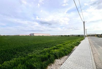 Teren în Dragomirești-Vale - 1