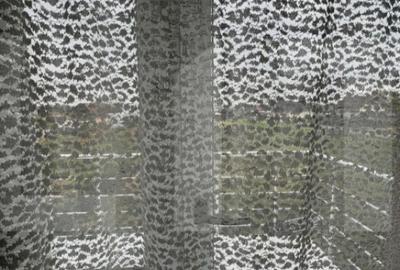 Casă cu 4 camere cu Teren 1152 Mp în Parța - 7