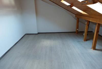 Casa P + M Piata Muncii 3 min metrou | Soseaua Mihai Bravu - 7