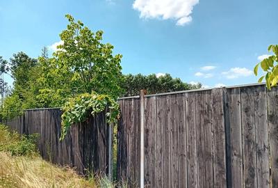 Teren în Hagiești - 2