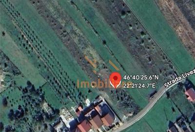 TEREN DE VANZARE | INTRAVILAN |3597 MP| BEIUS - 2