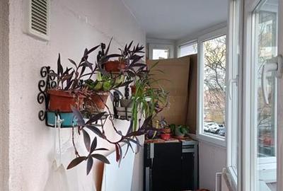 Apartament cu 3 camere semidecomandat în Dristor - 2