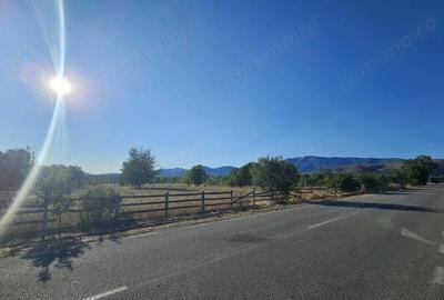 Teren de 24472 mp, în Runcu - 1