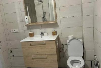Apartament cu 3 camere semidecomandat în Valea Borcutului - 4