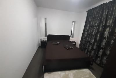 Baia Sprie, casa caramida, 9,4 ari teren - 11