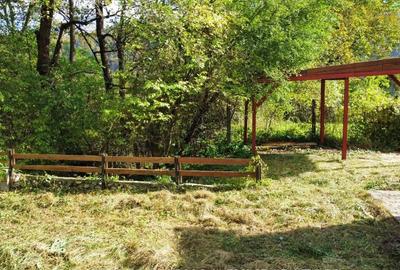 CABANA DE LA MUNTE, UN LOC FERMECATOR - 1