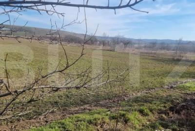 Teren în Lipănești - 2