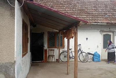 Casă cu 4 camere cu Teren 1600 Mp în Lenauheim - 3