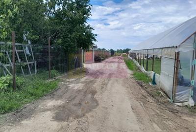 Casă cu 4 camere în Eroii Revoluției - 9