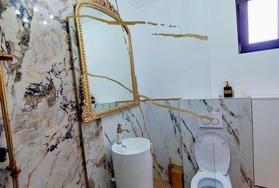 Casa S+P+1+Pod  , 5 Camere  Strada Silvia, Doamna Ghica - 24