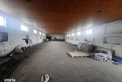 Spațiu comercial, de 720 mp, în Alexandru cel Bun - 6