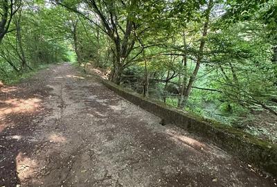 Teren Intravilan, in ora?ul Sebi?, Arad - 4