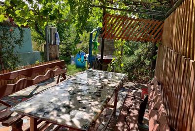 Vanzare casa la ?ara in Costi?a de Sus, comuna Tanasoaia, jud. Vrancea - 4