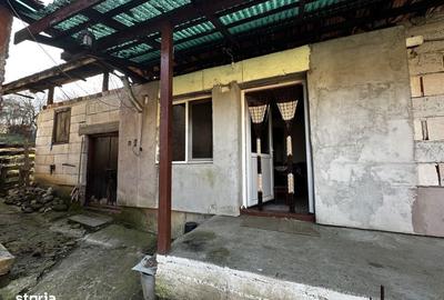 Casă cu 3 camere în Țelna - 19