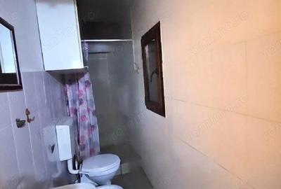 Exclusivitate! Proprietate Sendreni, zona linistita, 69.000 EUR - 11