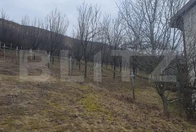 Casă individuală cu 5 camere cu Garaj în Sud-Est - 5