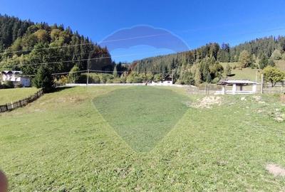 Casa in Vatra Dornei, zona Argestru, cu 11.541m.p. TEREN INTRAVILAN - 17