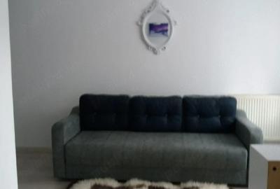 Apartament cu 2 camere nedecomandat în Poiana Țapului - 8