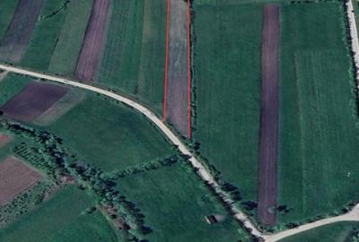 Spațiu comercial, în Tărpiu - 2