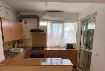 Dimitrie leonida studio dubla drumul fermei - 13