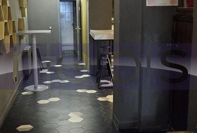 Spațiu comercial, de 280 mp, în Universitate - 8