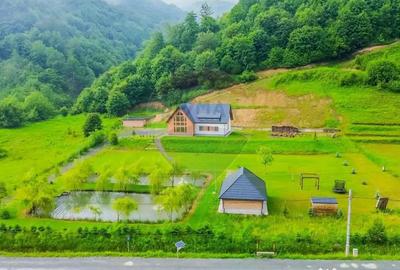 Casă cu 7 camere cu Teren 6370 Mp în Groși - 6