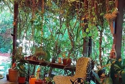 Casă cu 4 camere cu Teren 185 Mp în Dej - 8