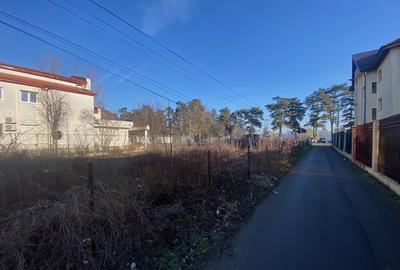 Teren 828 mp vis-a-vis de lac - langa Calul Balan - 7