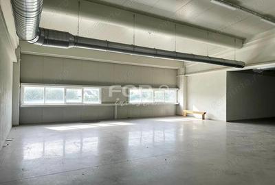 Spatiu industrial 700 mp de inchiriat in zona Oncea Oradea - 3