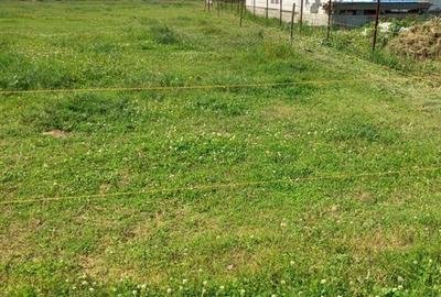Teren Construcții intravilan de 1300 mp, în Vest - 6