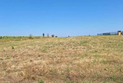 Teren de 2666 mp, în Pârvu Roșu - 3