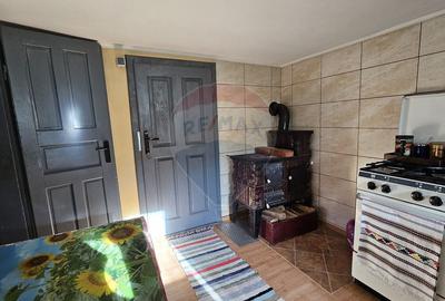 Casă cu 3 camere cu Teren 900 Mp în Cacica - 20