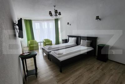Oportunitate de afacere, Pensiune, Casa de Varstnici sau Casa de Locuit - 18