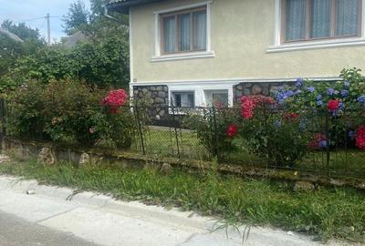 Casă cu 3 camere cu Teren 1861 Mp în Remeți - 1