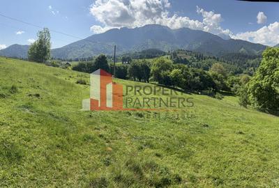 Teren Construcții intravilan de 2799 mp, în Bran - 1