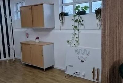 Spatiu Comercial - zona Podu de Piatra - Lukoil - 5