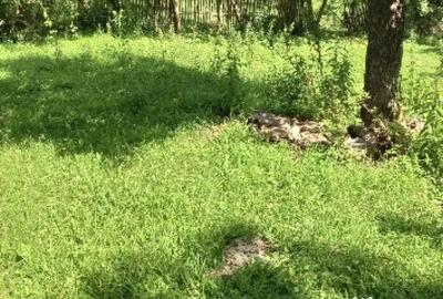 Casă cu 2 camere în Central - 8