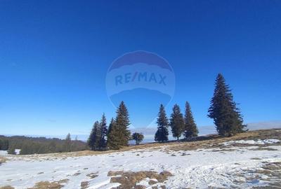 Teren agricol extravilan de 5609 mp, în Gura Râului - 13