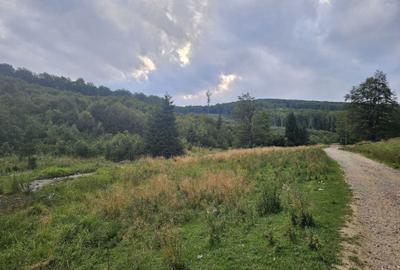 Spațiu comercial, în Dălghiu - 2