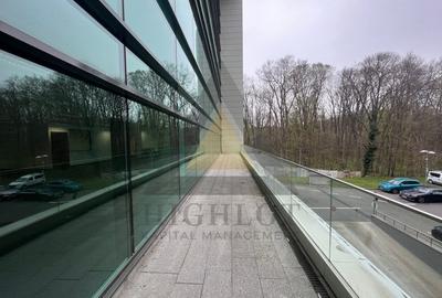 READY TO MOVE IN SPATIU 493.59 MP  | COMPLET FINISAT | PLATINUM BUSINESS CENTER - 16