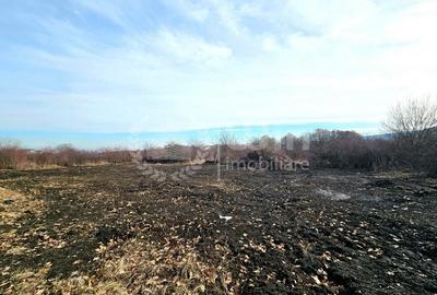 Teren intravilan 650mp | Front 36m | Buna Ziua | Zona Mihai Romanu!