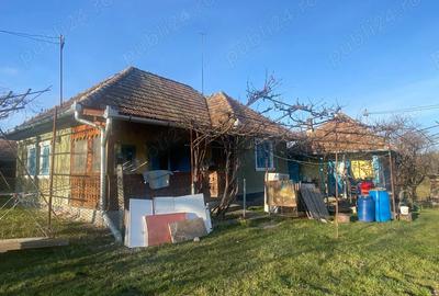 Vand casa si teren - 4