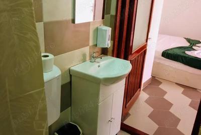 Casa Jiblea Veche Mobilata - Utilata - 4