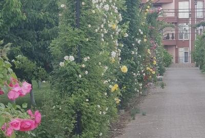 Imobil si teren de vanzare Imobil si teren de vanzare - 4