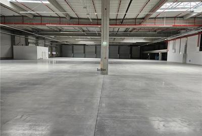 Spatiu Industrial - 2300 mp - Productie - Depozitare - 4