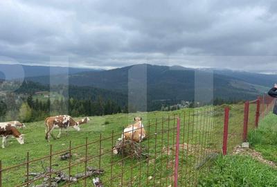 Ocazie! Casa de vacanta cu vedere la Lacul Belis - 5