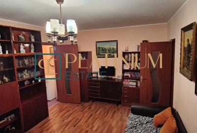 P4730 Apartament cu 2 camere, zona Dambovita - 2