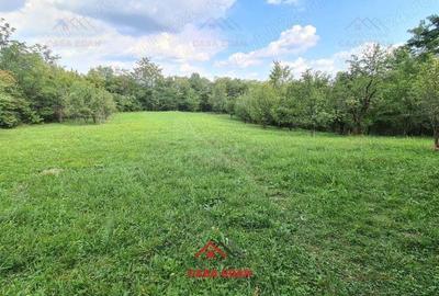 Teren intravilan in Poiana Campina--3287mp--10e - 6