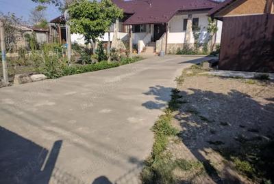 Casa cu Gradina - Greceanca - 4